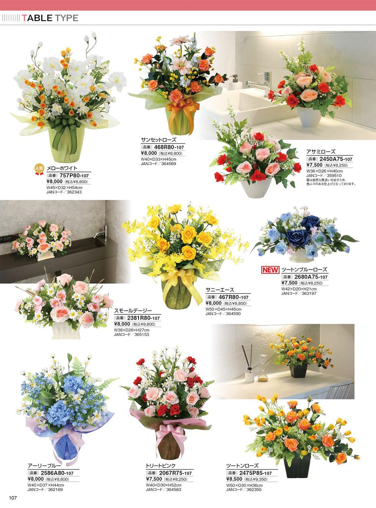 光の楽園 カタログ P107