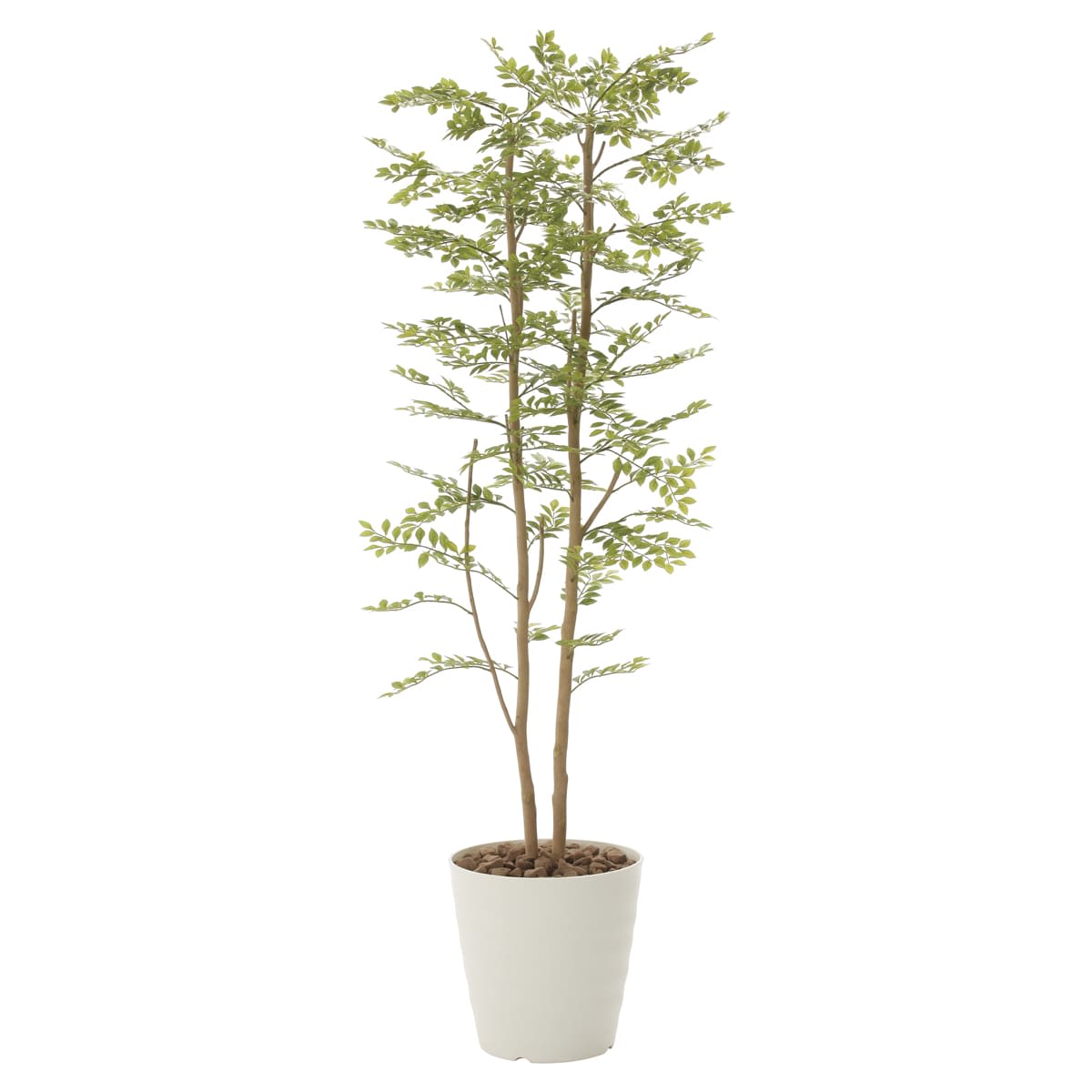 ゴールデンリーフ1.8 155P450-画像1