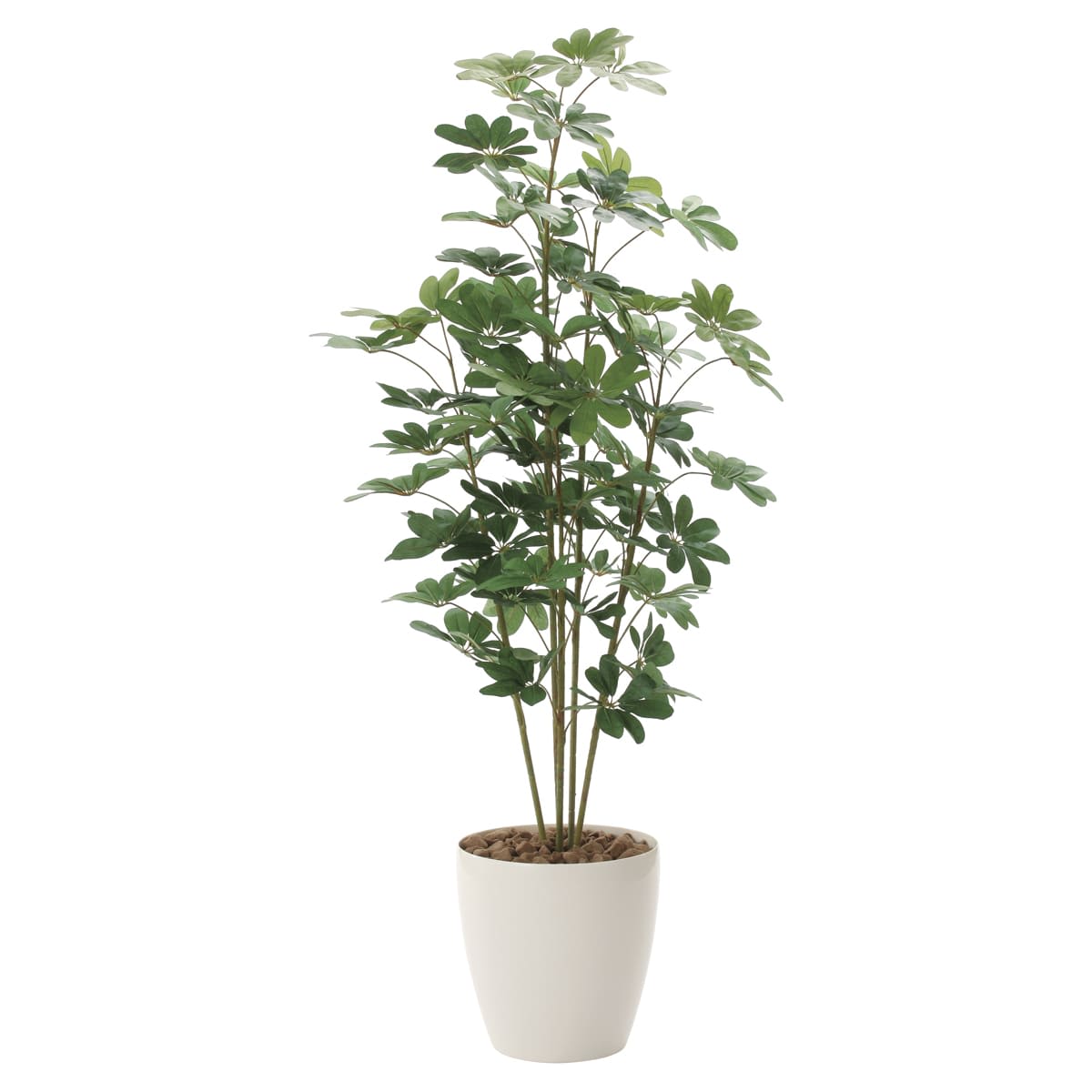 カポック1.8 158K365-画像1