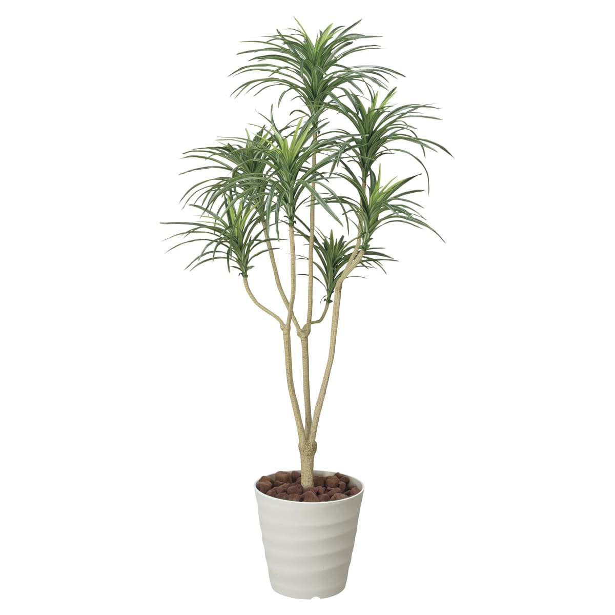 ユッカ1.6 173A250-画像1