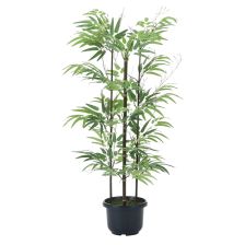 【新品】稀少品天然素材黒色高級籐むしろ220 × 220cm 新品】稀少品天然素材黒色高級籐むしろ220 × 250cm 楽天市場