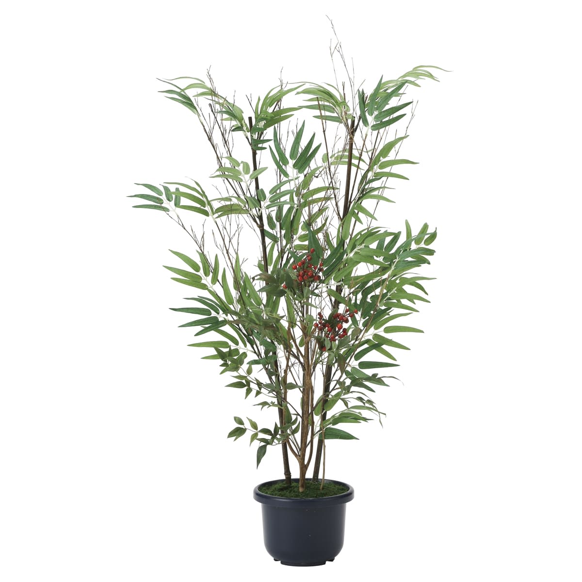 光触媒　人工観葉植物　ウォールグリーン　フェイクグリーン　組立て式バンブー黒竹 楽天市場】人工観葉植物 光触媒 バンブー 青竹 210cm 【 光触媒