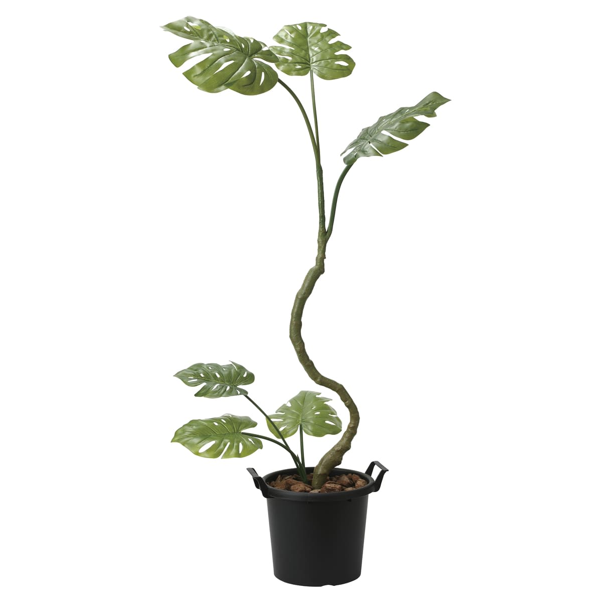 インテリアモンステラ1.7 2025K260-画像1