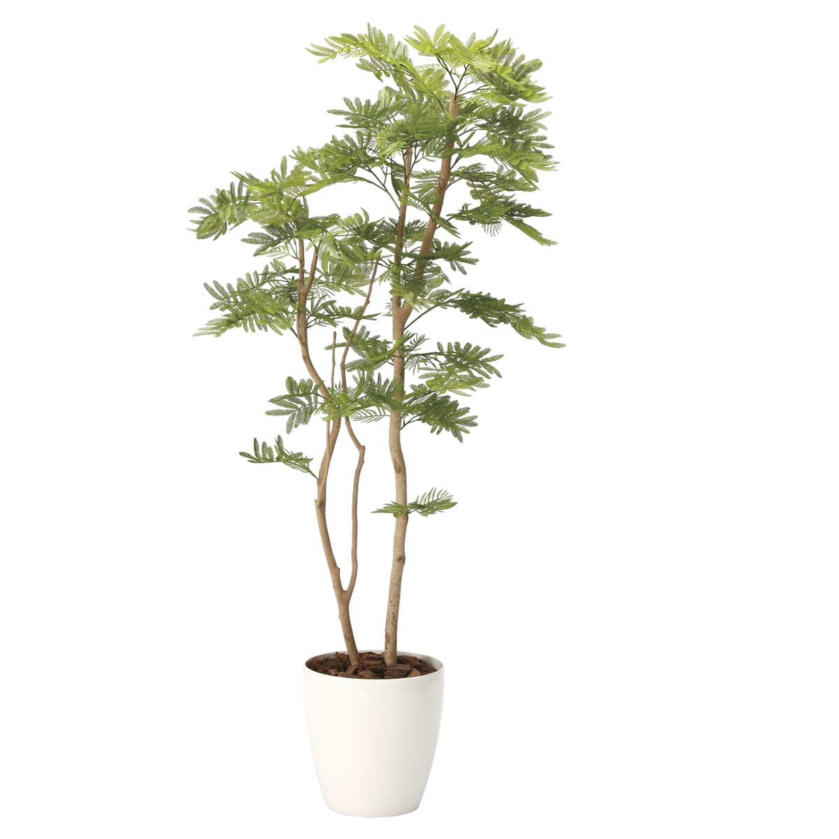 光触媒　人工観葉植物　ウォールグリーン　フェイクグリーン　ねむの木1.8 ねむの木1.8（ポリ製）2106A460｜アートクリエイションのフェイクグリーン