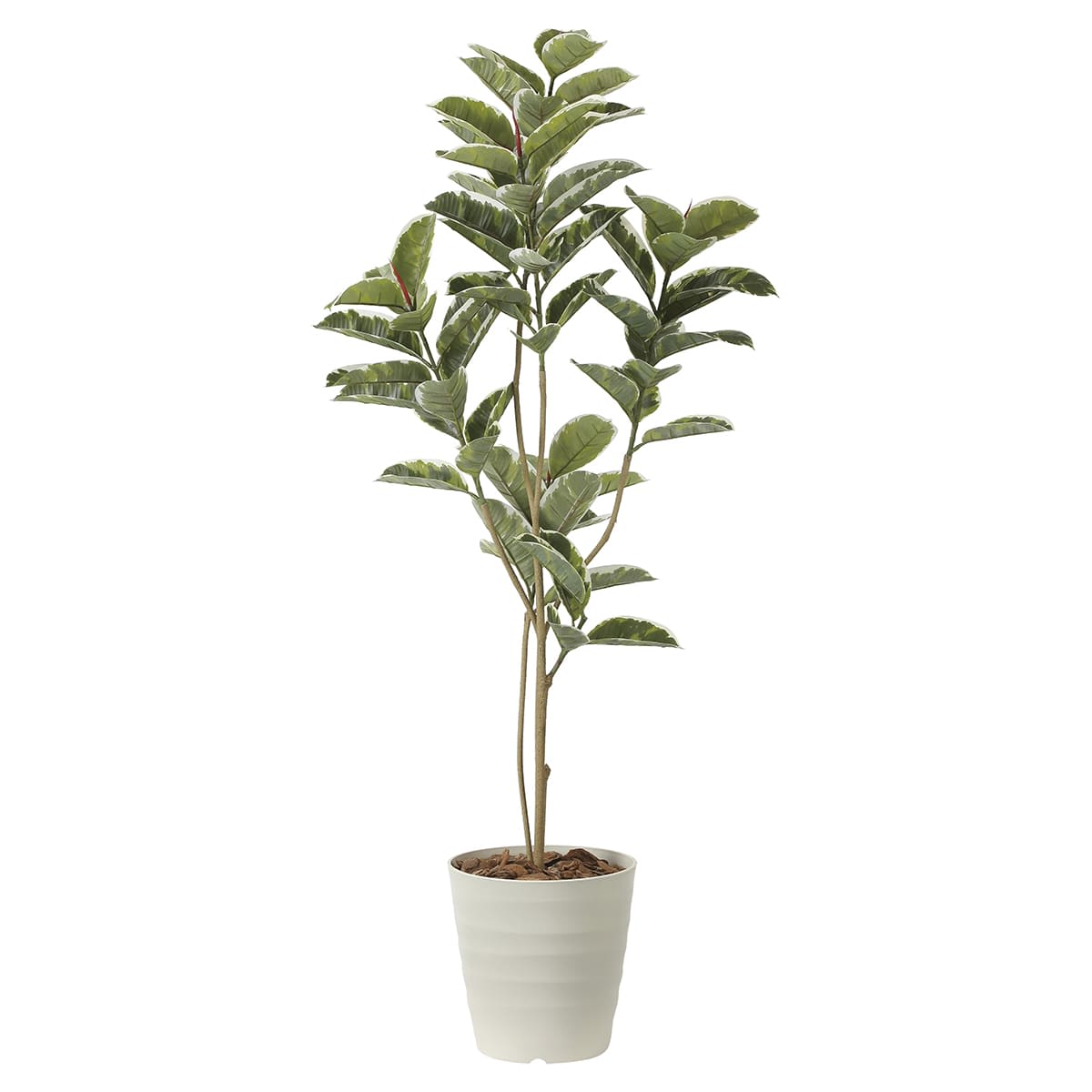 アルテシマ1.6 2219A280-画像1