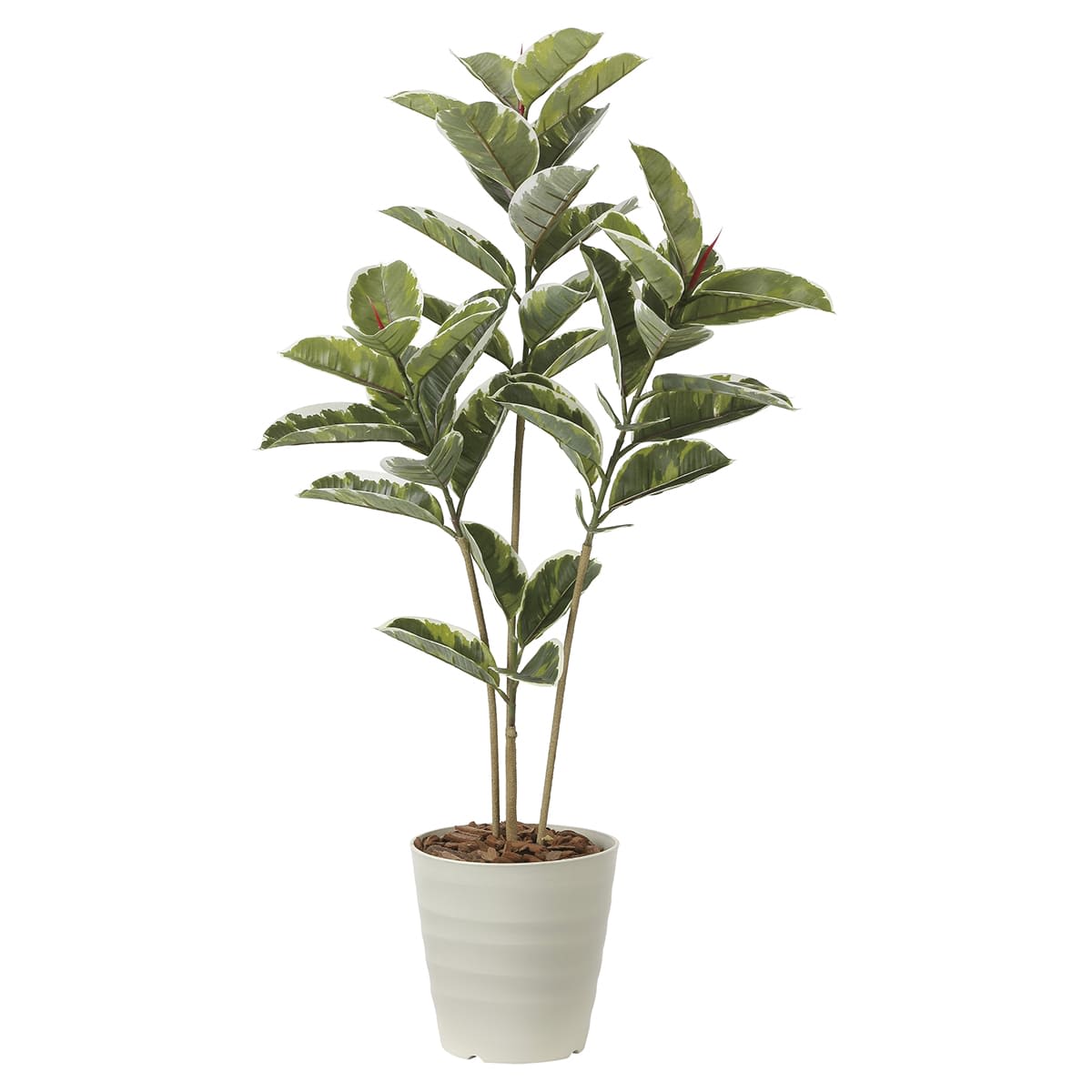 アルテシマ1.2 2221R210-画像1