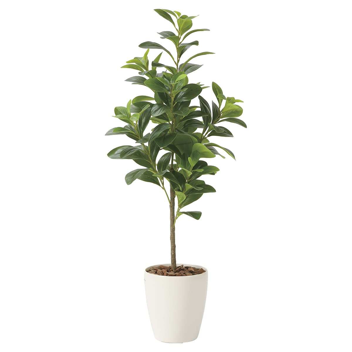 フレッシュマネーツリー90 2224A120-画像1