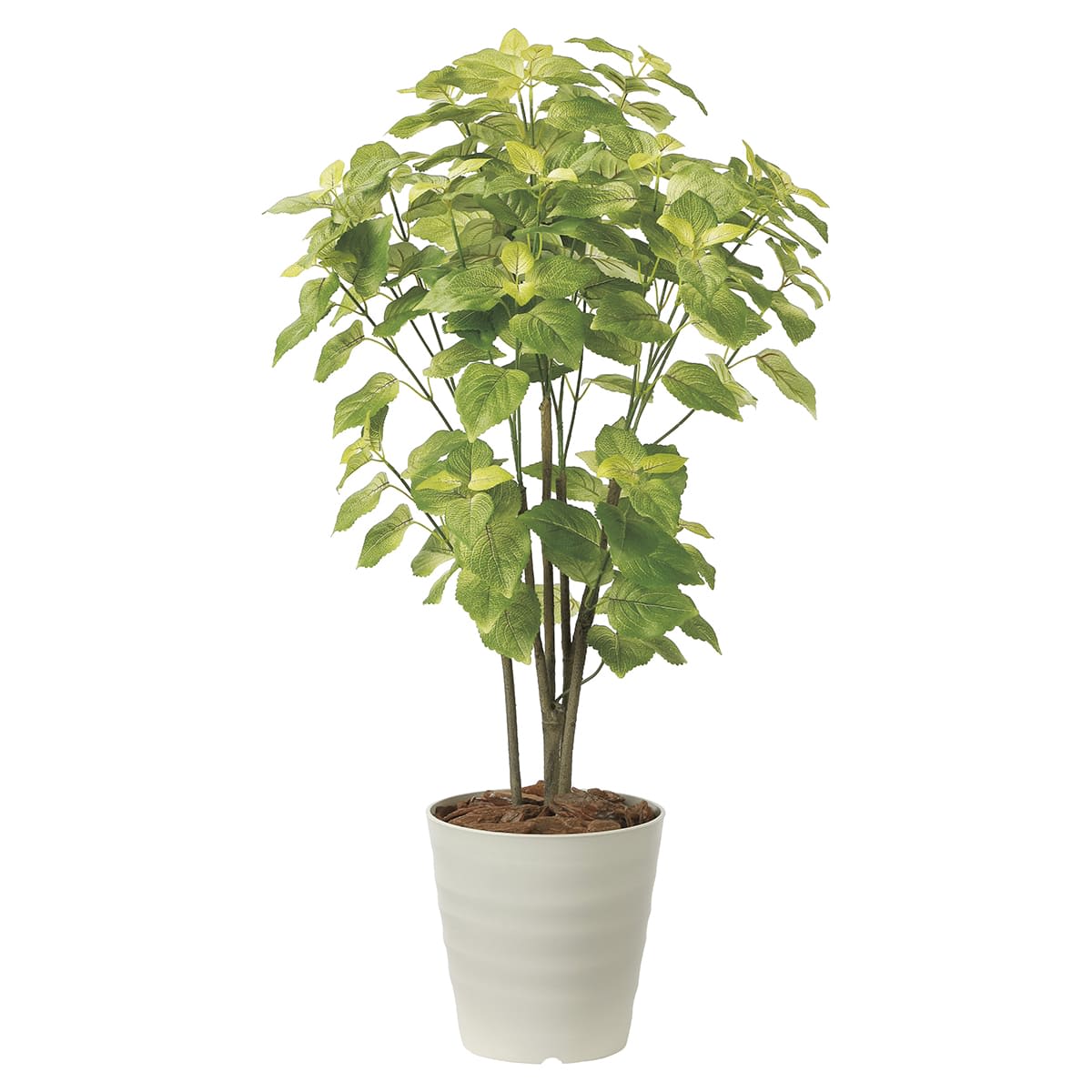 ペリーラ1.0 2225A150-画像1