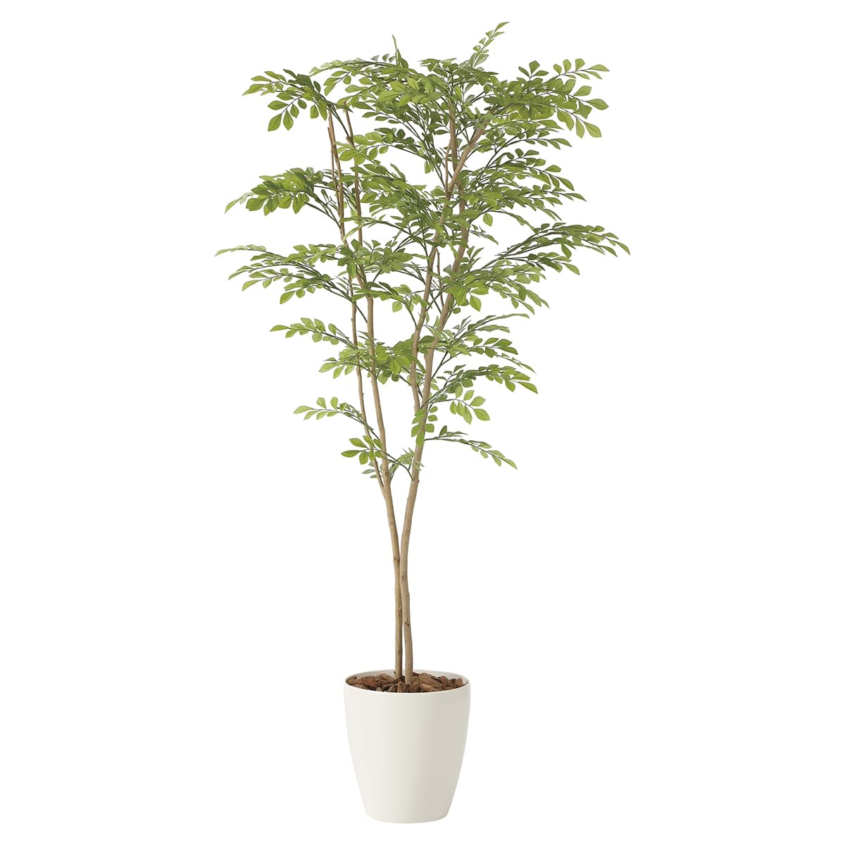 光触媒　人工観葉植物　ウォールグリーン　フェイクグリーン　ツートントネリコ1.6 光触媒人工観葉植物ウォールグリーンフェイクグリーントネリコ1.8@ad