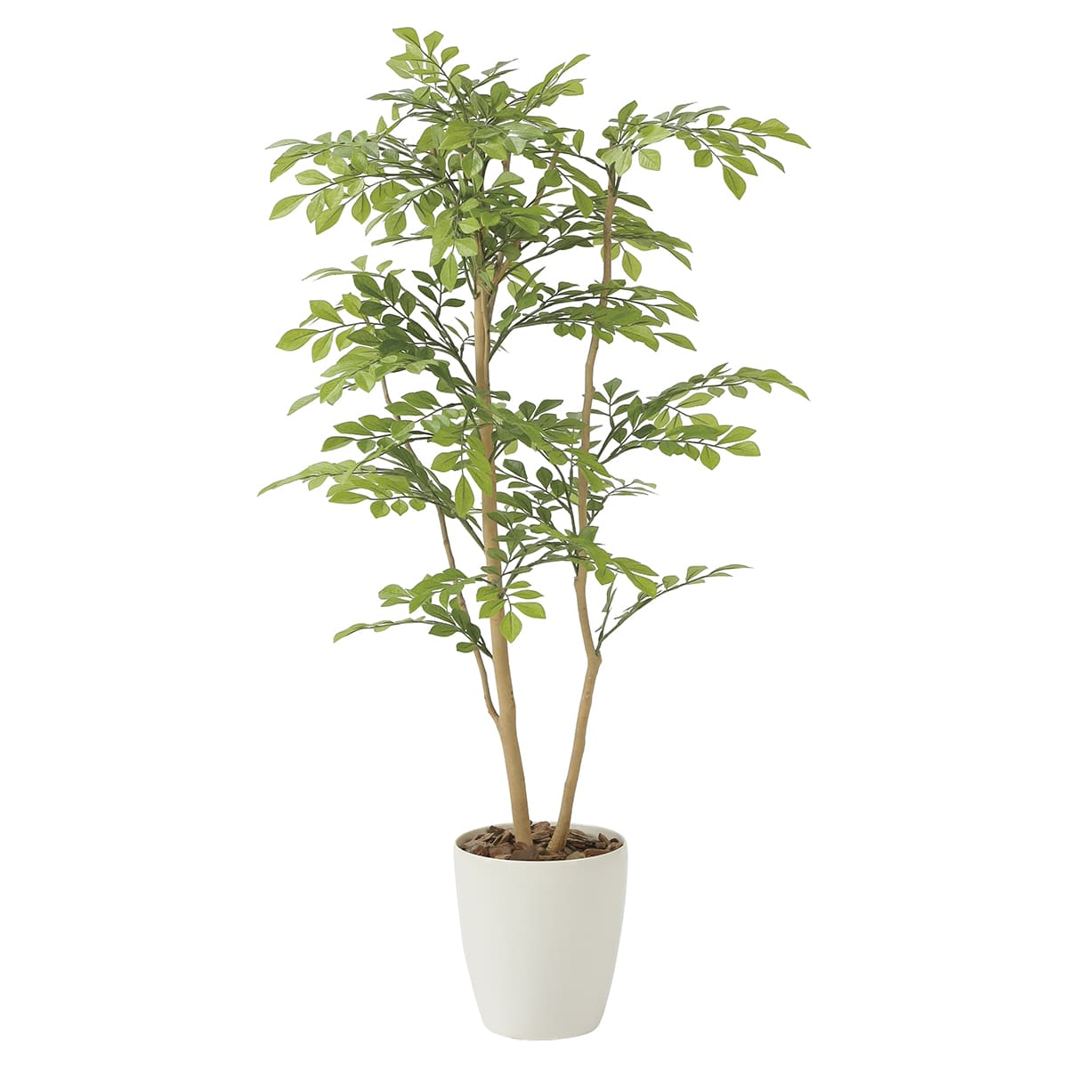 ライトトネリコ1.0 2232R190-画像1