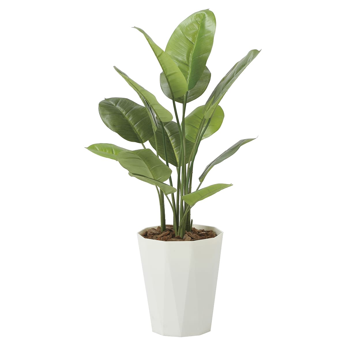 フレッシュスキンダプサス1.0 2240A160-画像1