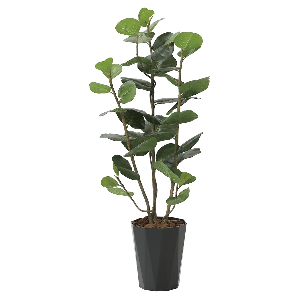 シーグレープDX1.25 2243R250-画像1