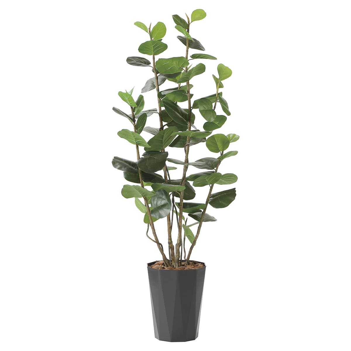 シーグレープDX1.7 2244R350-画像1