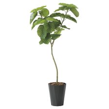 光触媒　人工観葉植物　ウォールグリーン　フェイクグリーン　ウンベラータ180 光触媒 人工観葉植物 ウォールグリーン フェイクグリーン