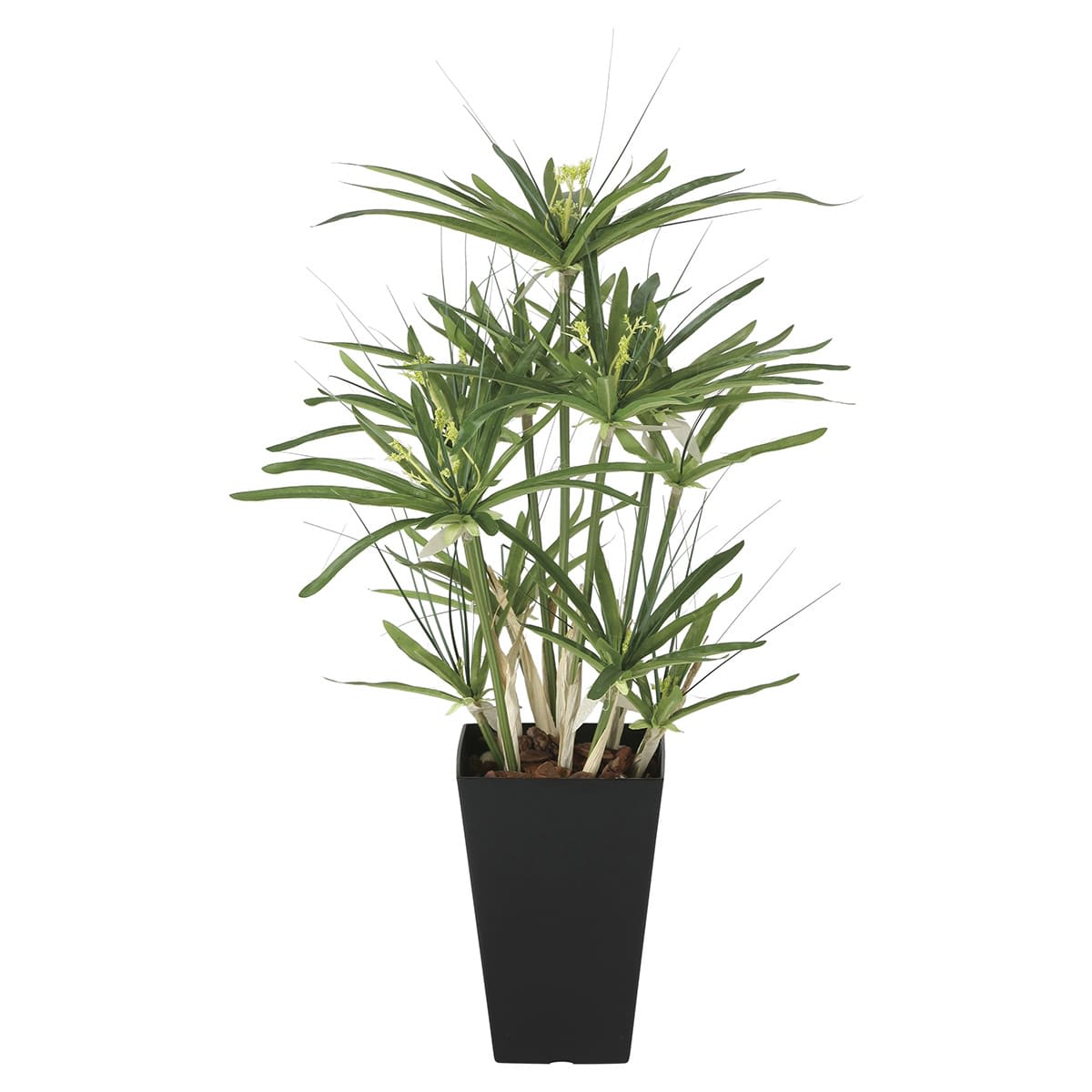 パピルス60 2296R100-画像1