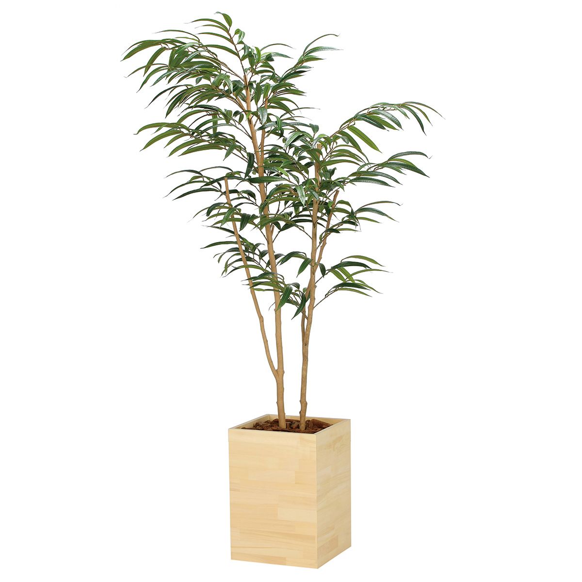 ウッドボックスショウナンゴム1.8 2300A580-画像1