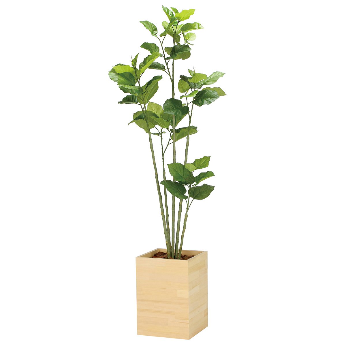 光触媒　人工観葉植物　フェイクグリーン　ウッドボックスウンベラータ1.8m ウッドボックスウンベラータ1.8 2302A600｜アートクリエイションの