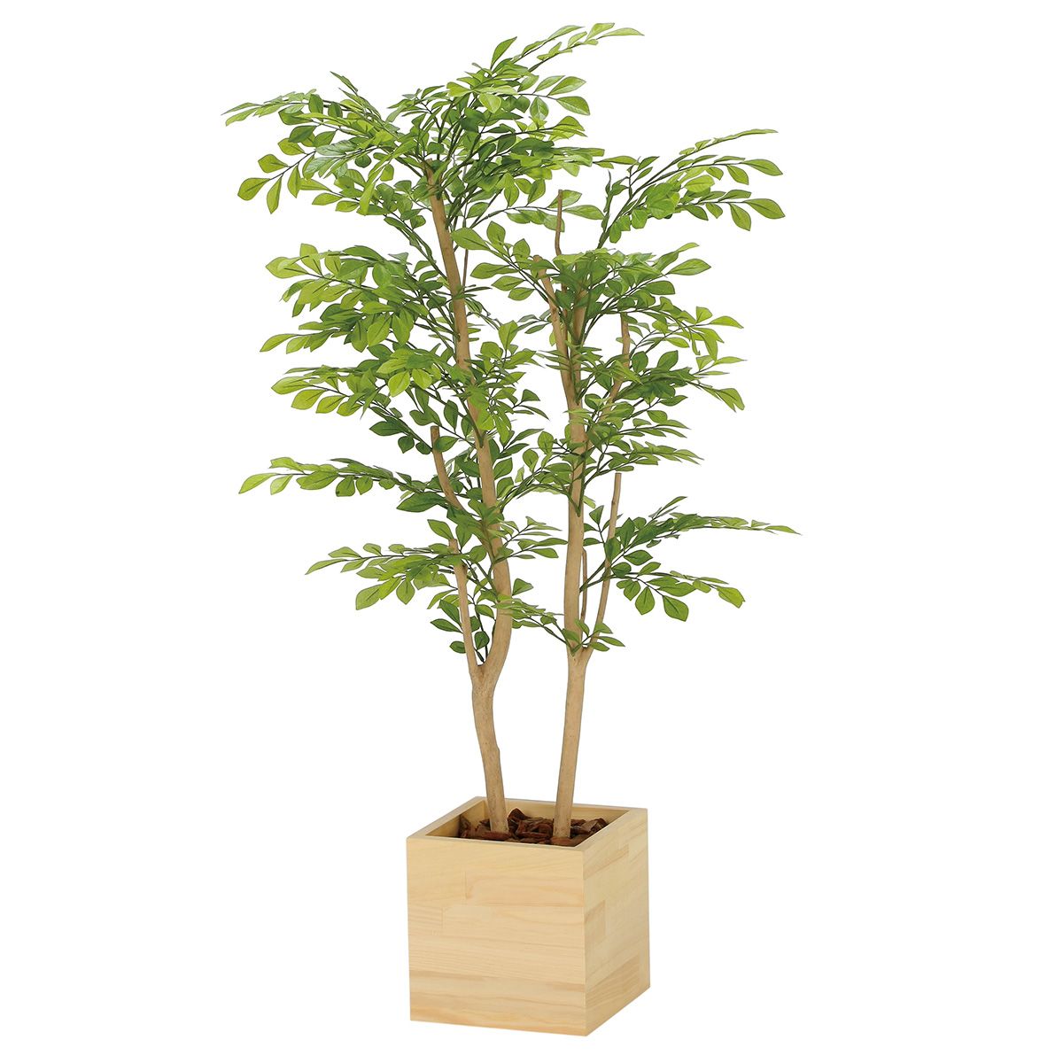 ウッドボックスライトトネリコ1.0 2306A250-画像1