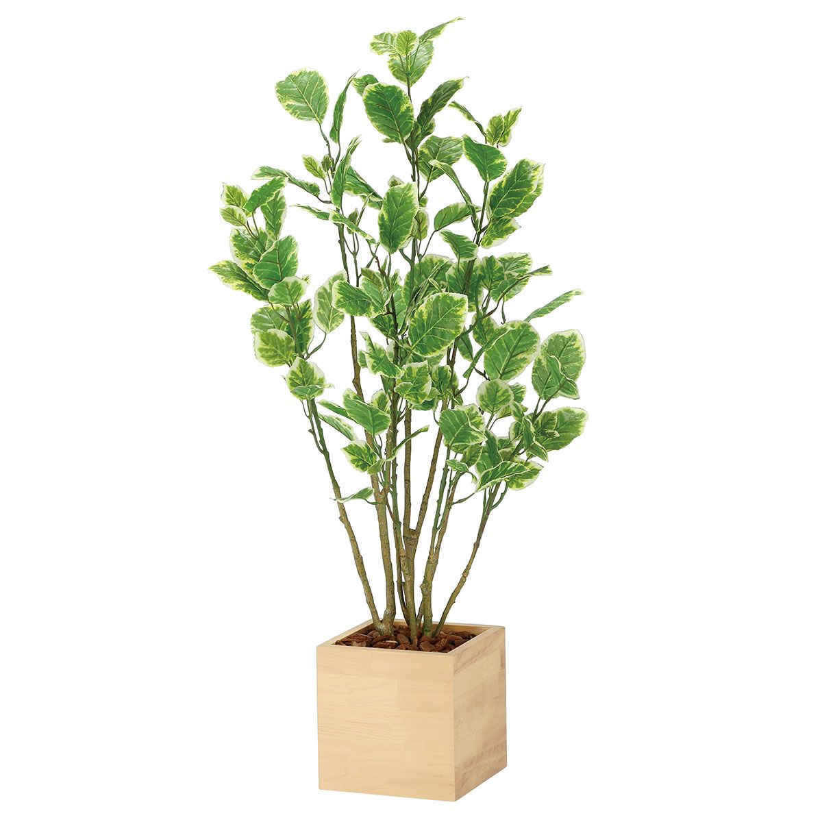 光触媒 人工観葉植物 フェイクグリーン ウッドボックストネリコ