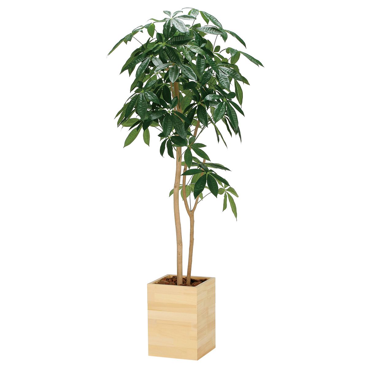 光触媒　人工観葉植物　フェイクグリーン　DXカシワバゴム1.8maj 光触媒 人工観葉植物 フェイクグリーン DXカシワバゴム1.8maj