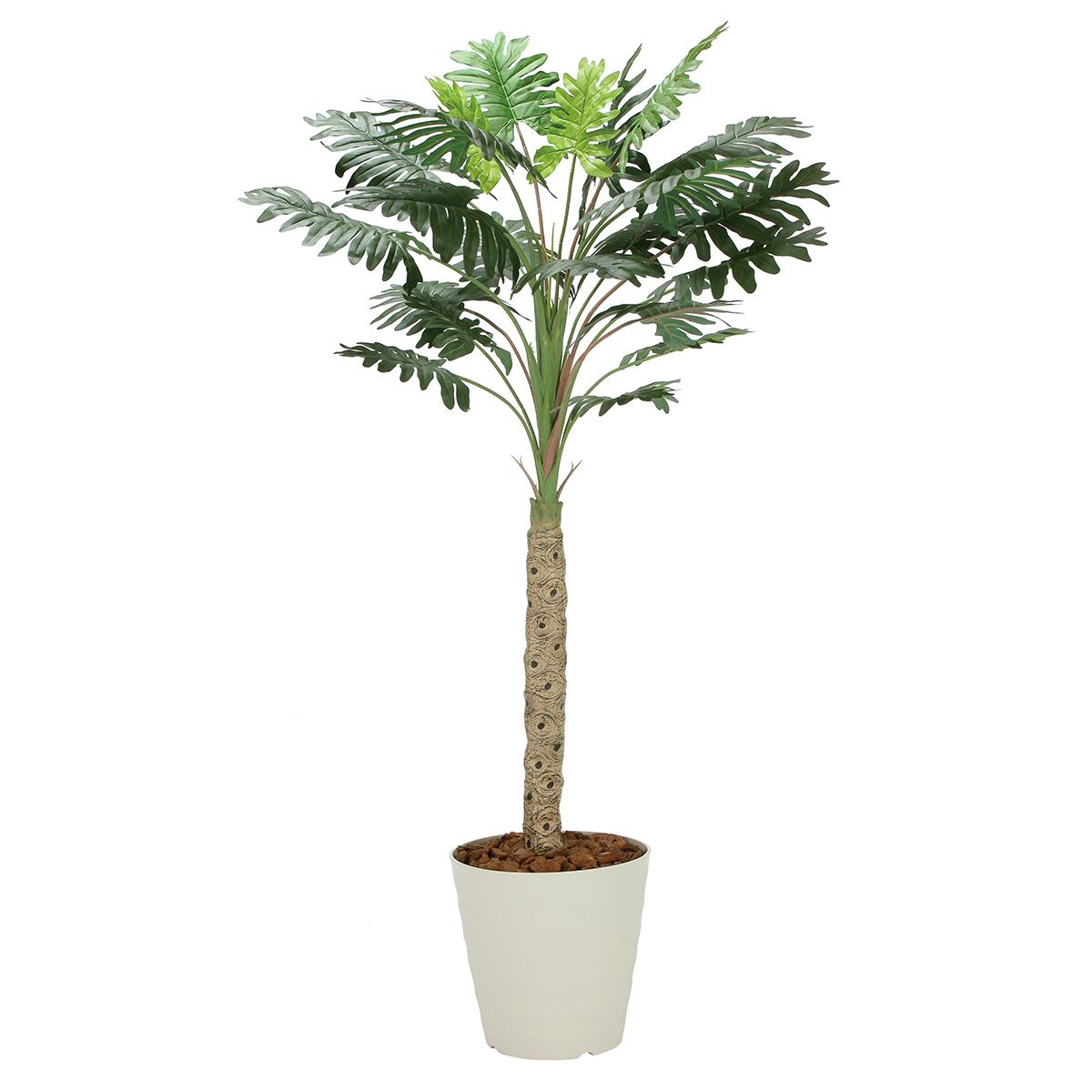 セローム1.8 2312A300-画像1