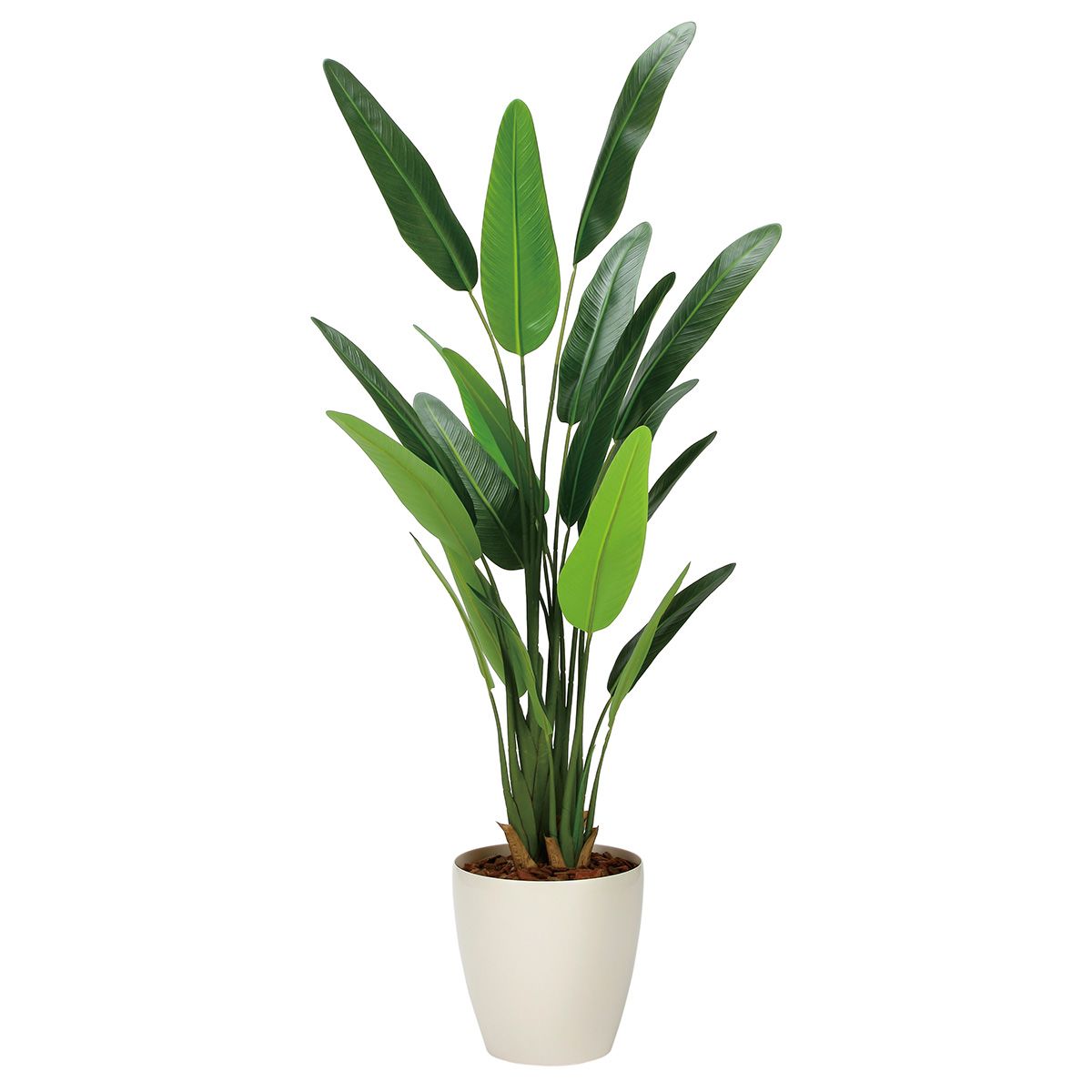 フレッシュトラベラーズパーム1.55 2314A320-画像1