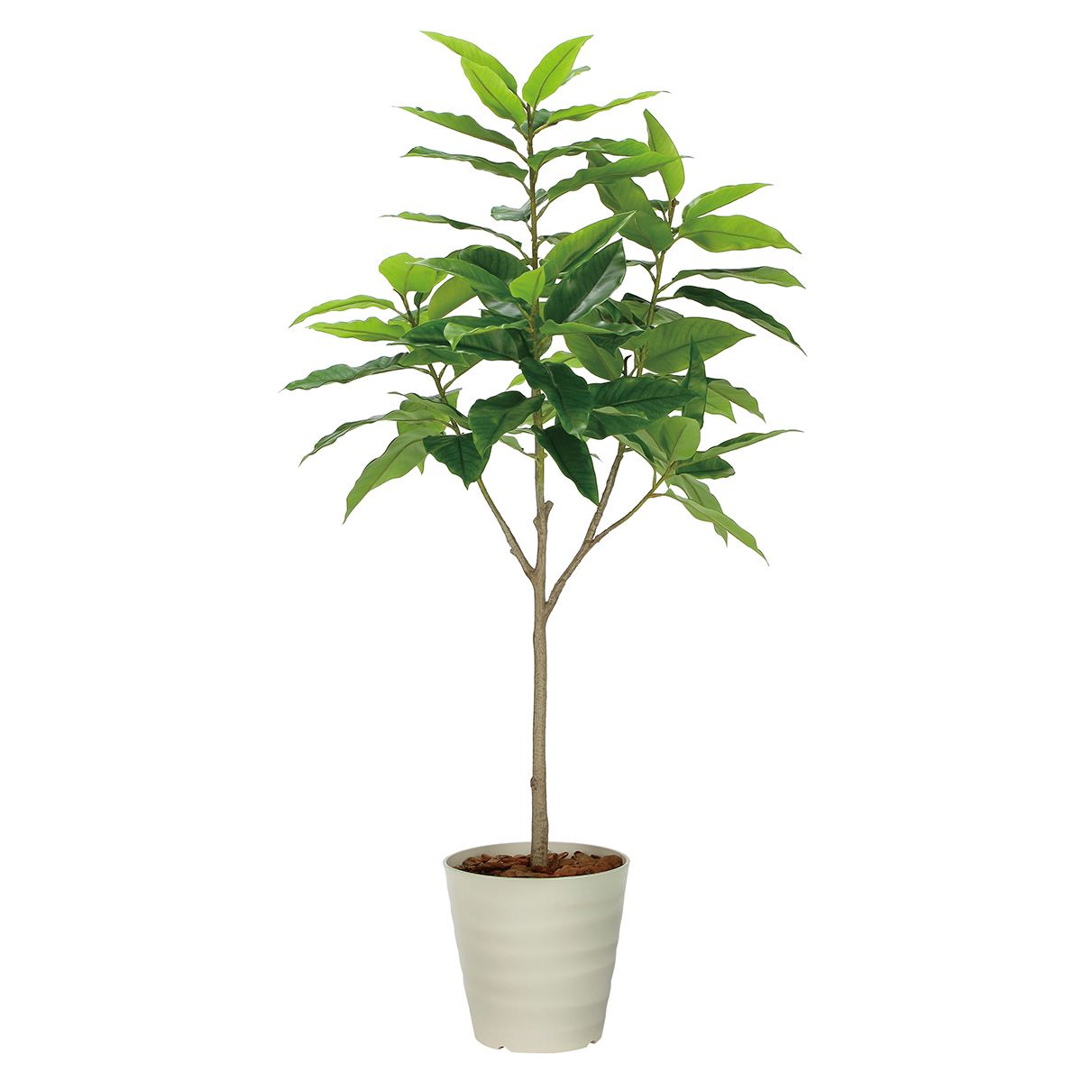 フレッシュユラニア1.6 2325A400-画像1