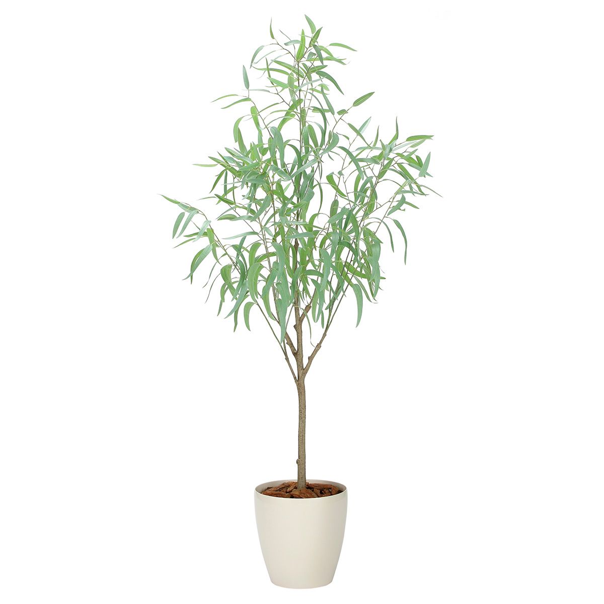 フレッシュシルバーユーカリ1.7 2330A500-画像1