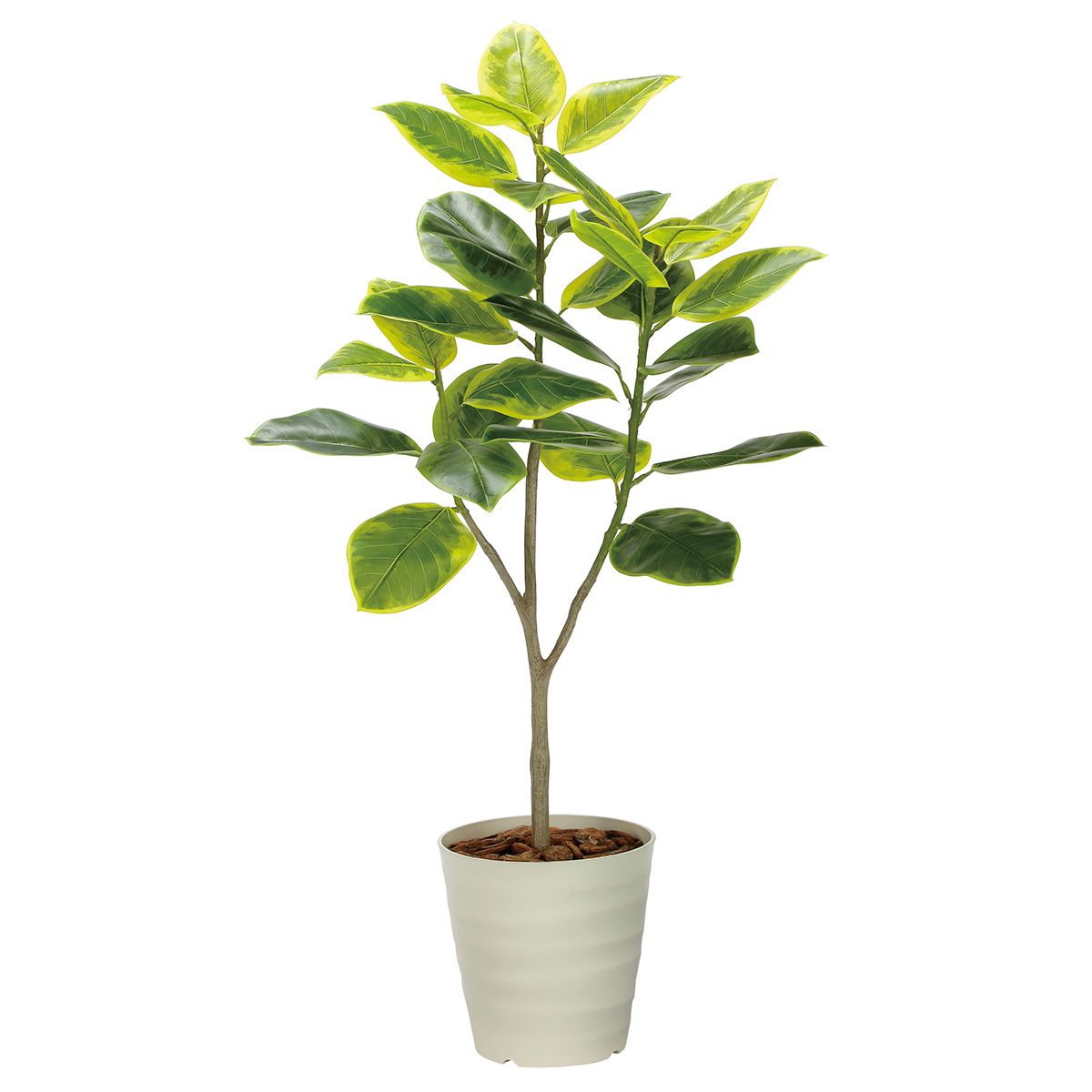 フレッシュアルテシマ1.35 2332A310-画像1