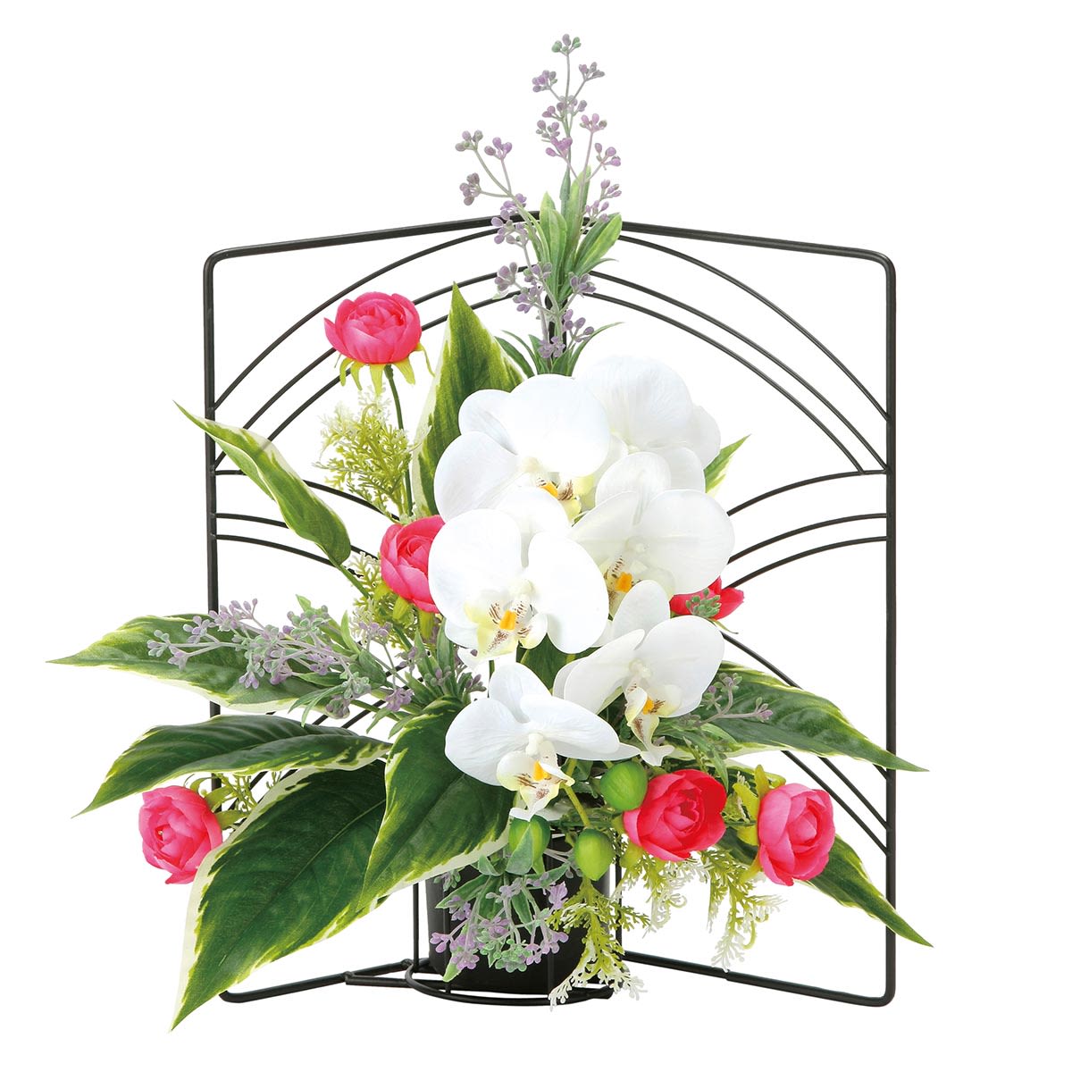 弥生 2379R80-画像1