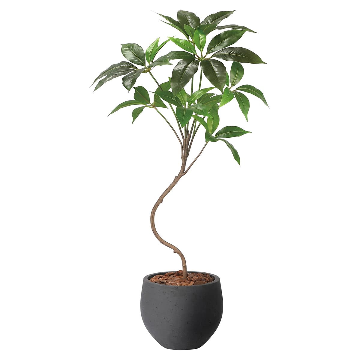 光触媒　人工観葉植物　ウォールグリーン　フェイクグリーン　ベンガル菩提樹1.35 光触媒 人工観葉植物 ウォールグリーン フェイクグリーン ベンガル