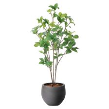 光触媒　人工観葉植物　ウォールグリーン　フェイクグリーン　サラサドウダン1.2 光触媒 人工観葉植物 ウォールグリーン フェイクグリーン サラサ