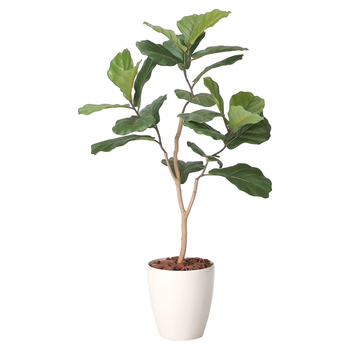 デザインカシワバゴム1.1 2414A160-画像1