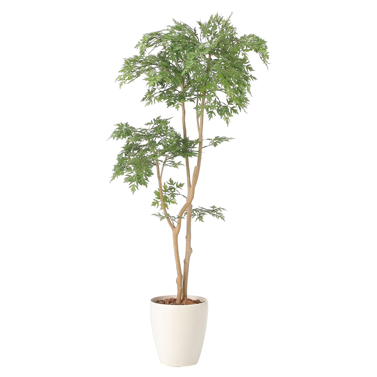光触媒　人工観葉植物　ウォールグリーン　フェイクグリーン　タイワンモミジ1.3 タイワンモミジ1.3 2420A230」アートクリエイションのフェイク