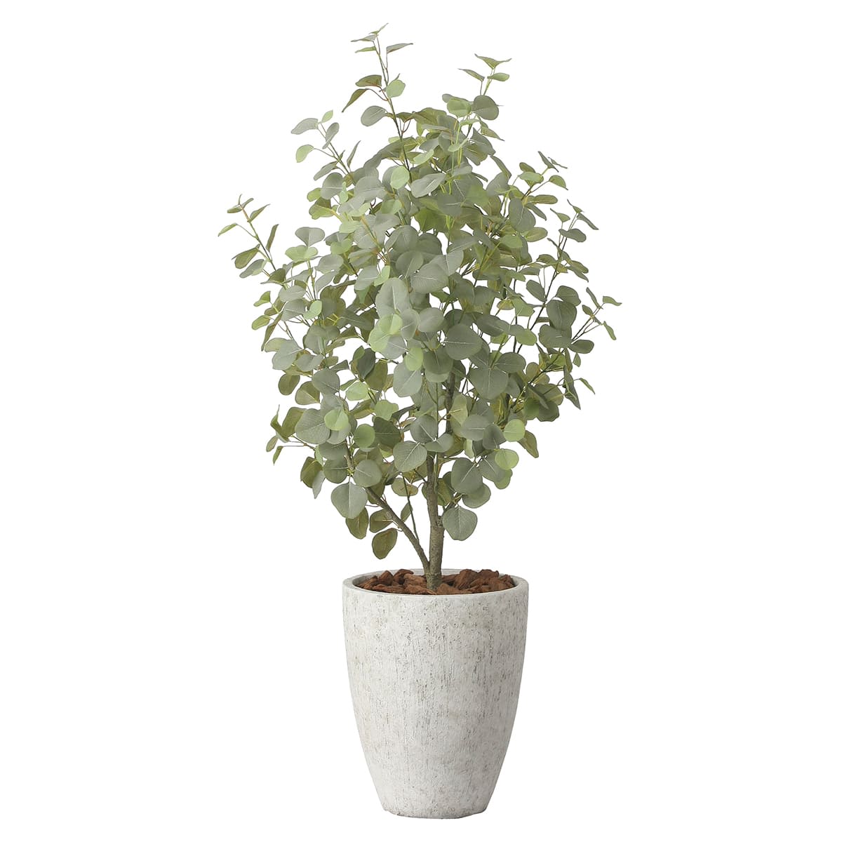 ナチュラルユーカリツリー1.5 2422A600-画像1