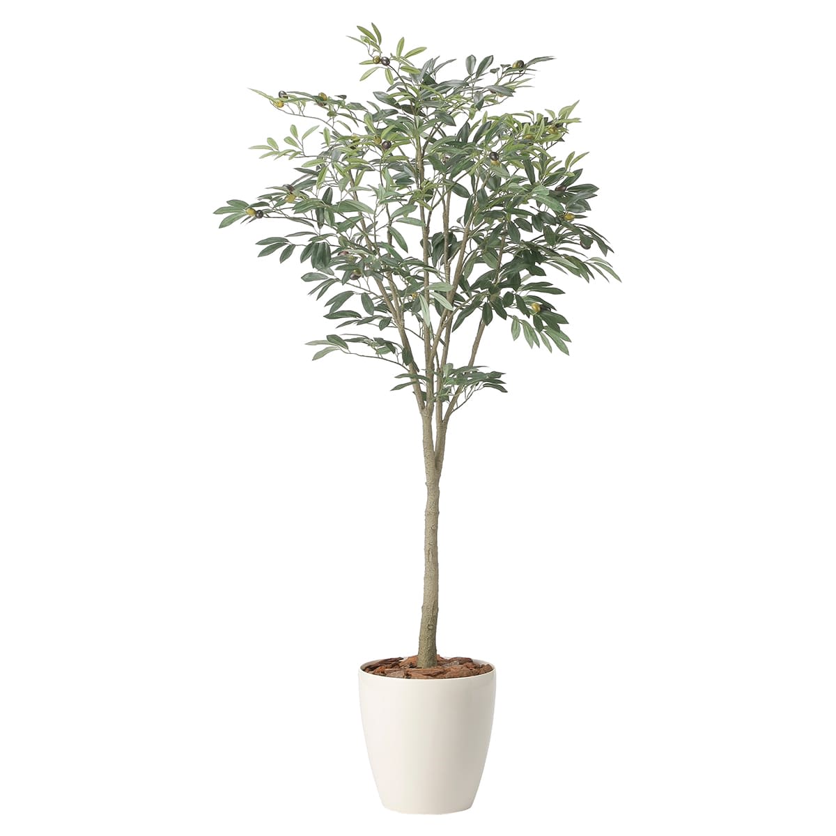 オリーブツリー1.7 2426A310-画像1