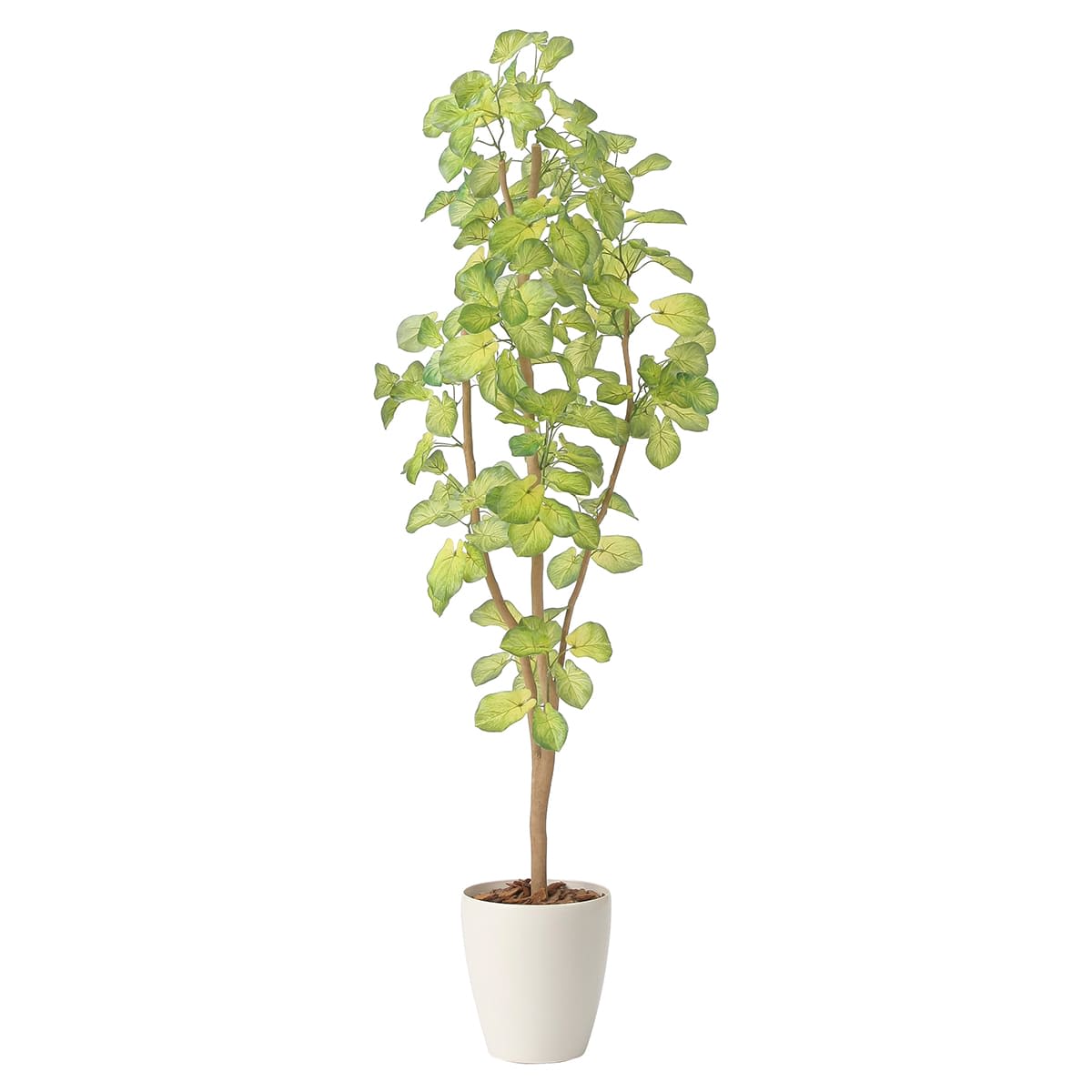 光触媒 人工観葉植物 ウォールグリーン フェイクグリーン スリムバウヒニア1.5 スリムバウヒニア1.5 2429A240」アートクリエイションのフェイク