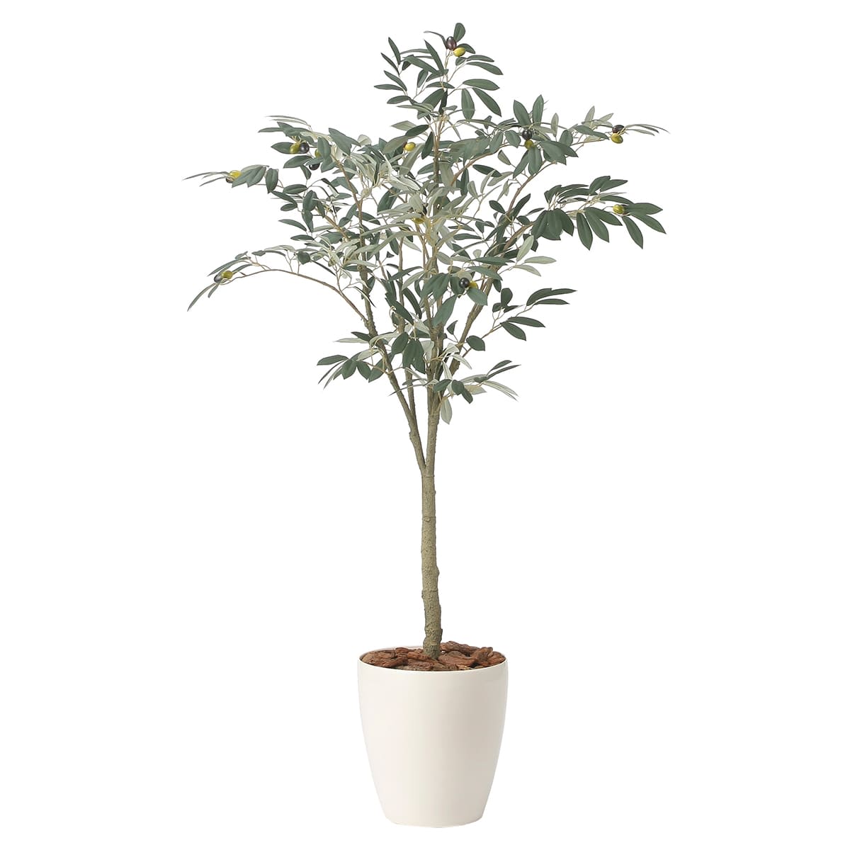 オリーブツリー1.35 2433A220-画像1