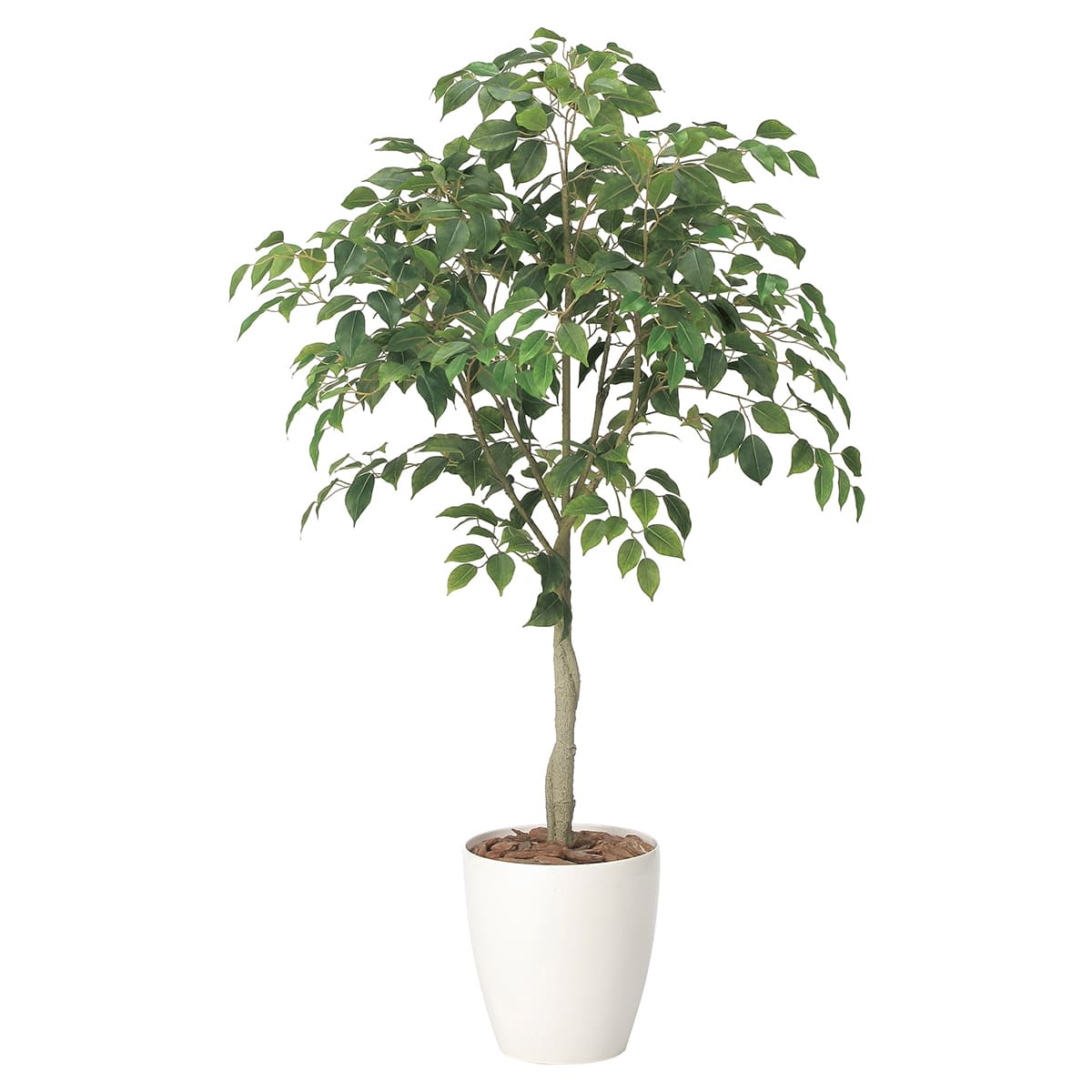 フィカスツリー1.35 2434A210-画像1