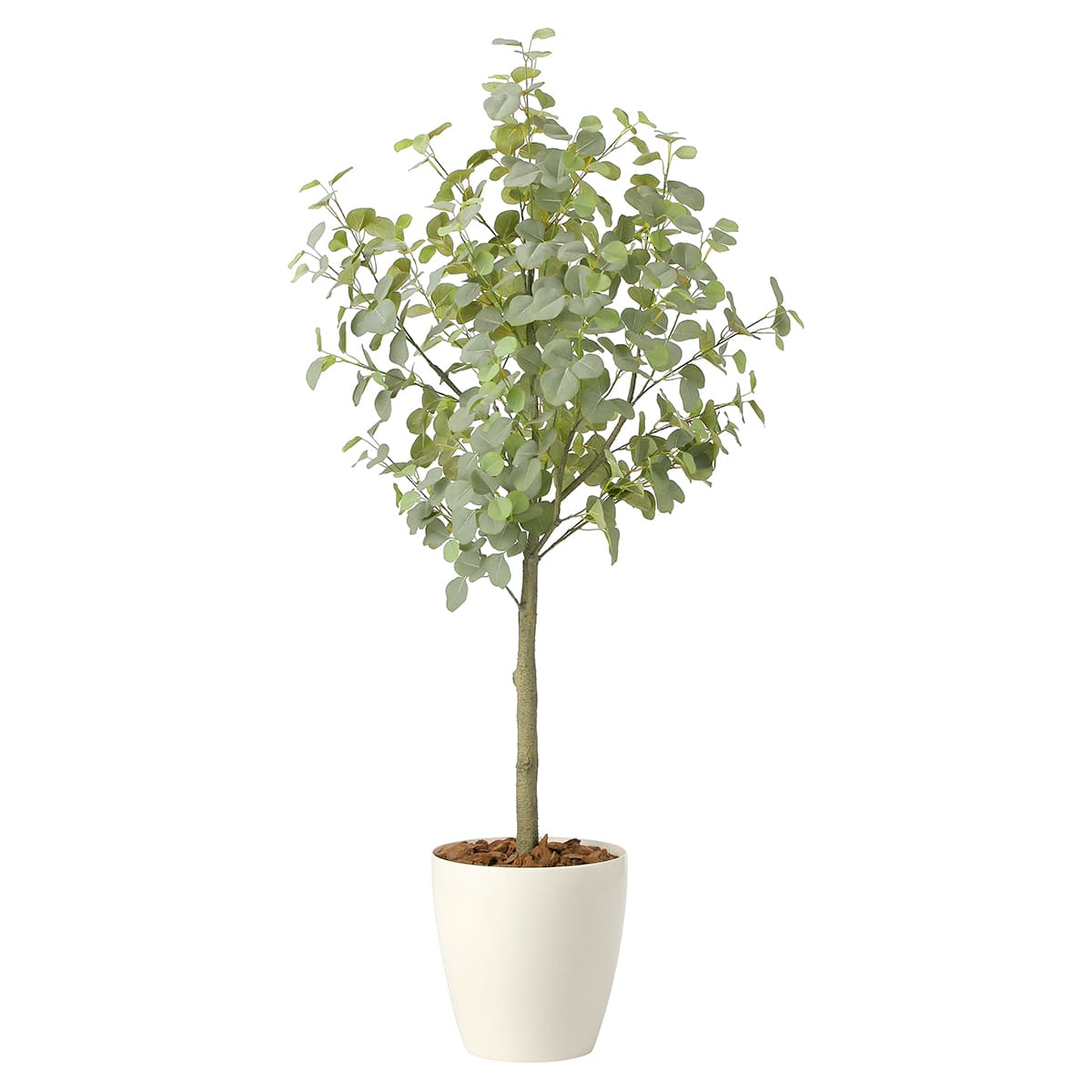 ユーカリツリー1.85（組立式）2436A450-画像1