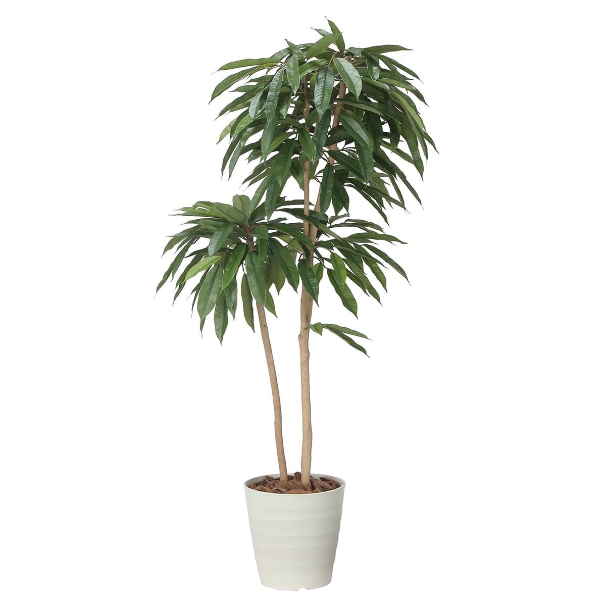 アムステルダムキング1.6 2439A430｜アートクリエイションのフェイク