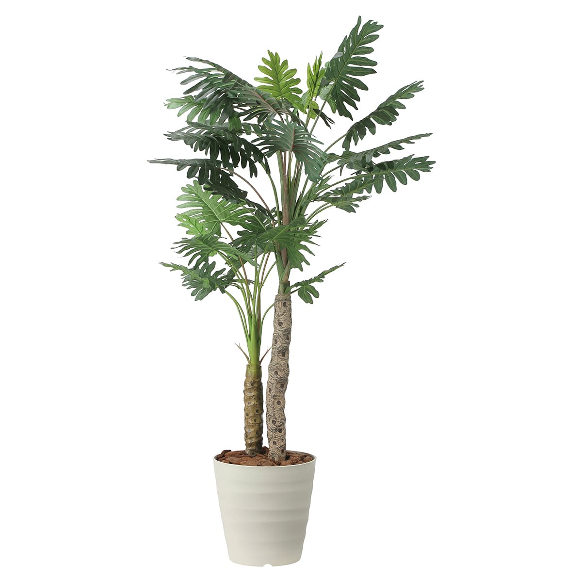 セロームW1.8 2441A360-画像1