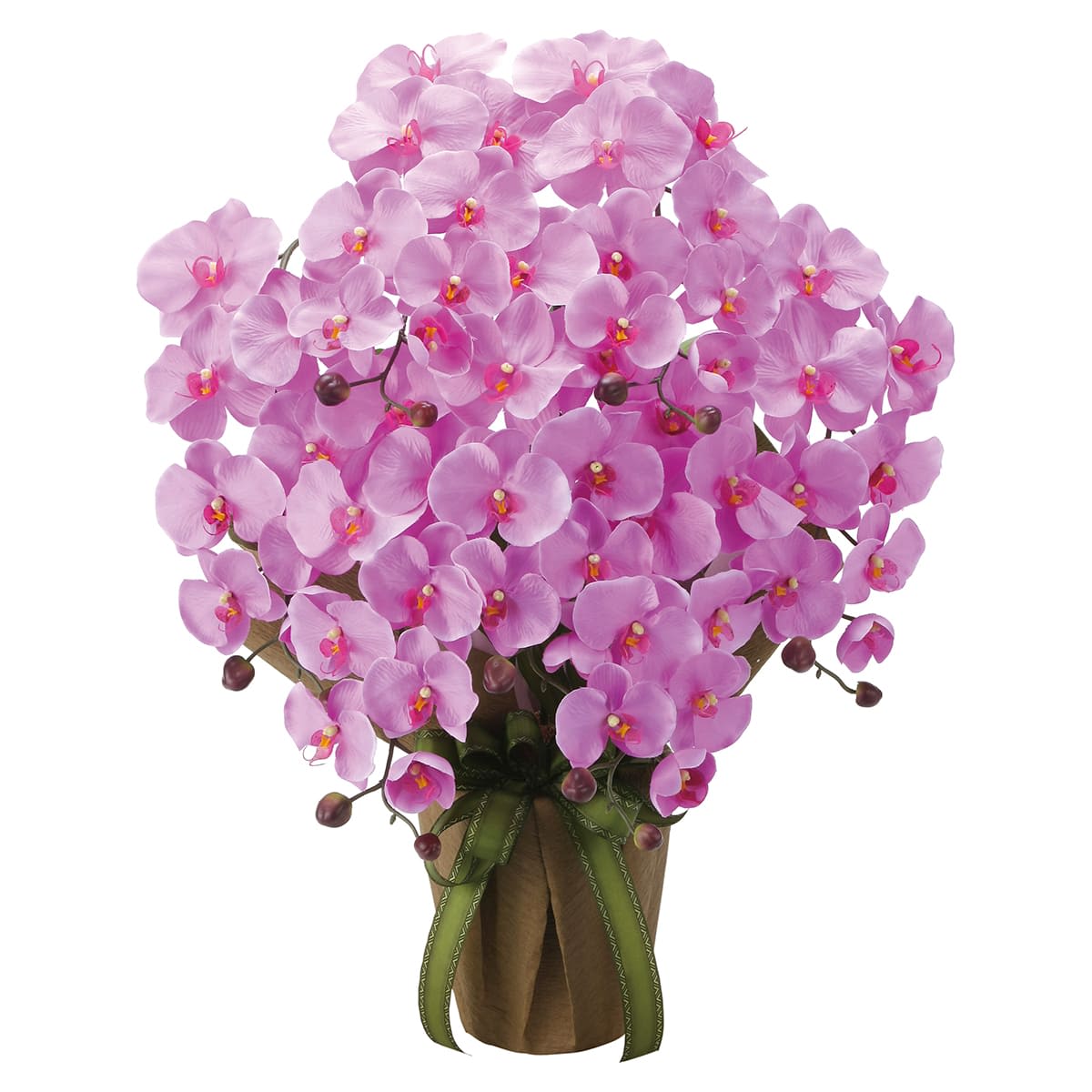エレガント胡蝶蘭7本立LAV 2444A100-画像1