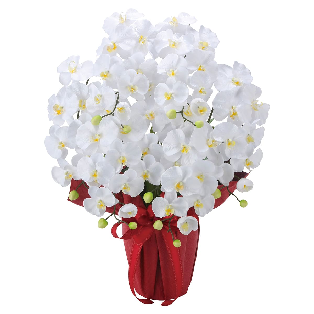 エレガント胡蝶蘭7本立W 2445A100-画像1