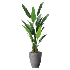 光触媒　人工観葉植物　ウォールグリーン　トラベラーズパーム170 ナチュラルトラベラーズパーム1.6 2486A540｜アートクリエイションの