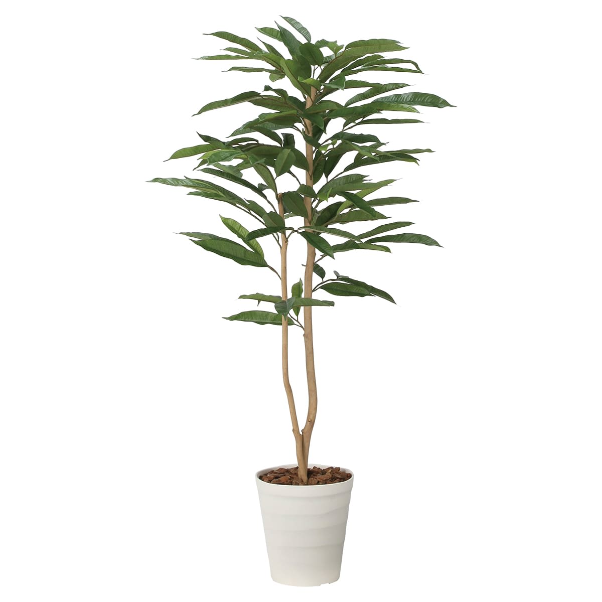 アムステルダムキング1.3 2488R250-画像1