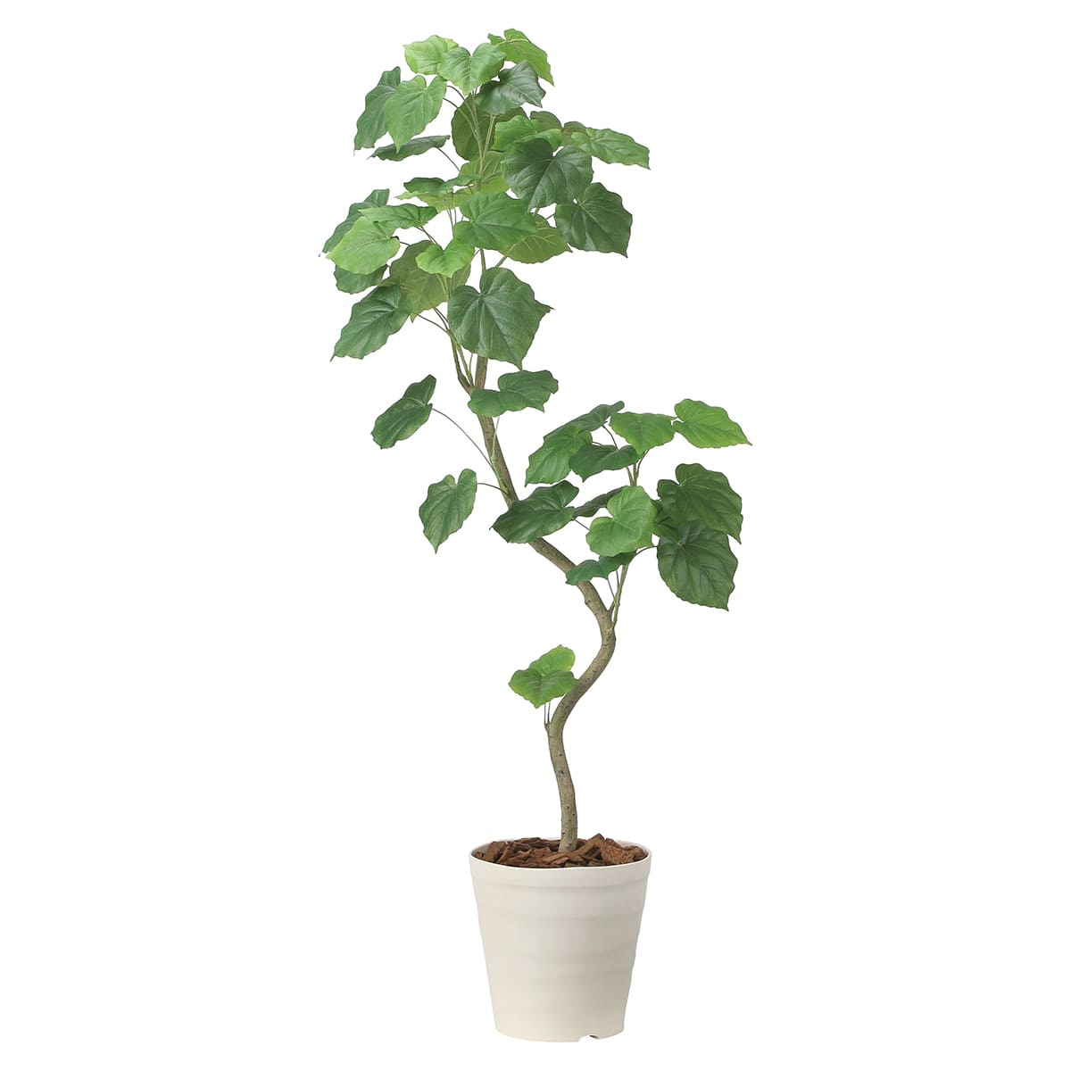 ツイストウンベラータ1.6 2495A450-画像1