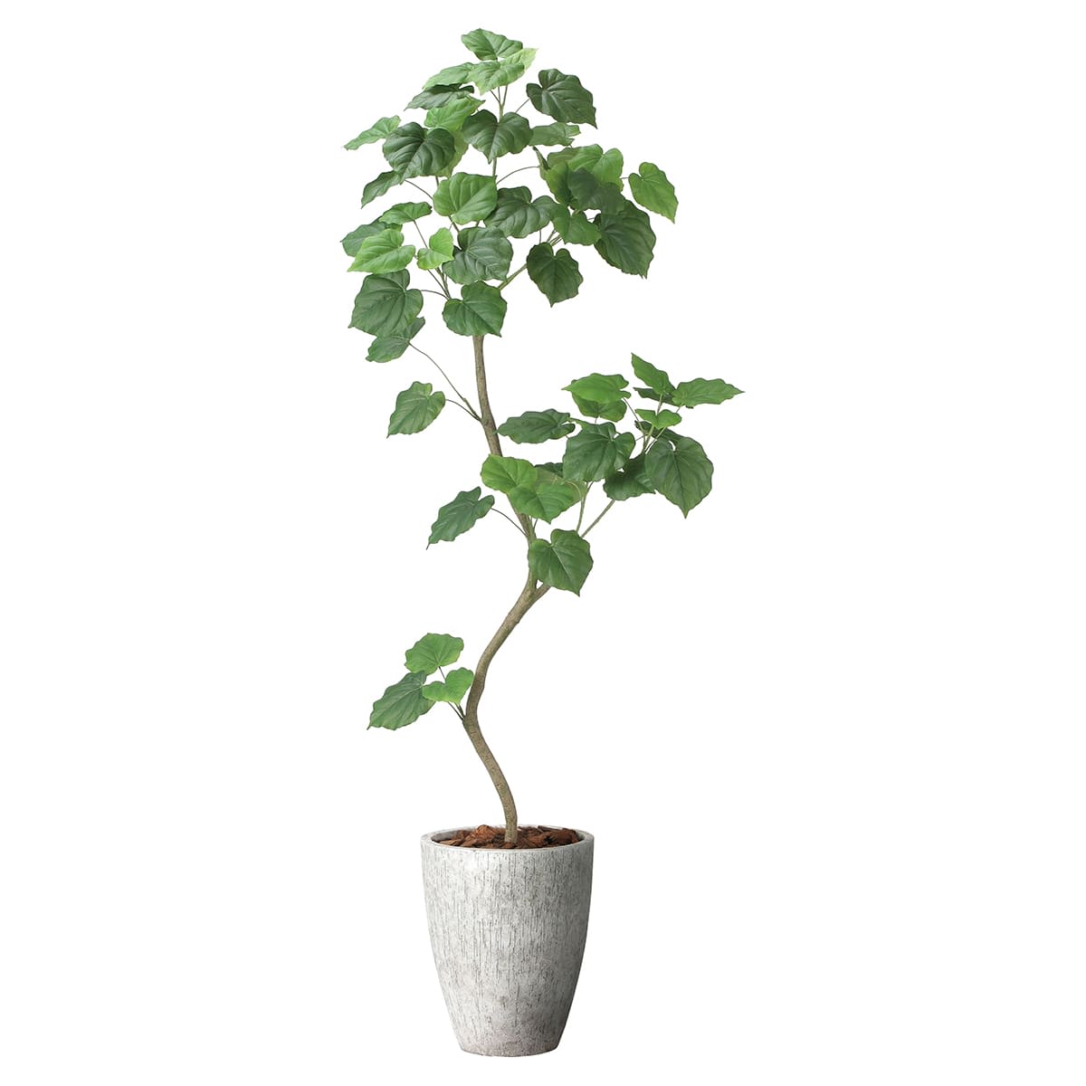 光触媒　人工観葉植物　ウォールグリーン　フレッシュウンベラータ1.35m 光触媒 人工観葉植物 ウォールグリーン フレッシュウンベラータ1.35m