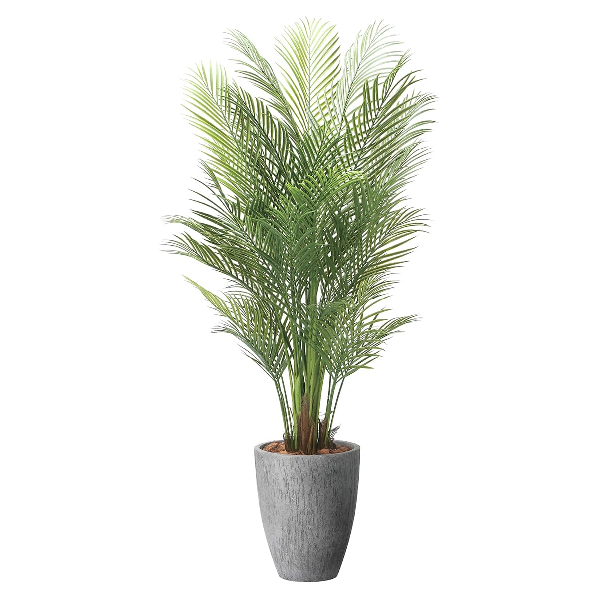 ナチュラルアレカパーム1.75 2500P750-画像1