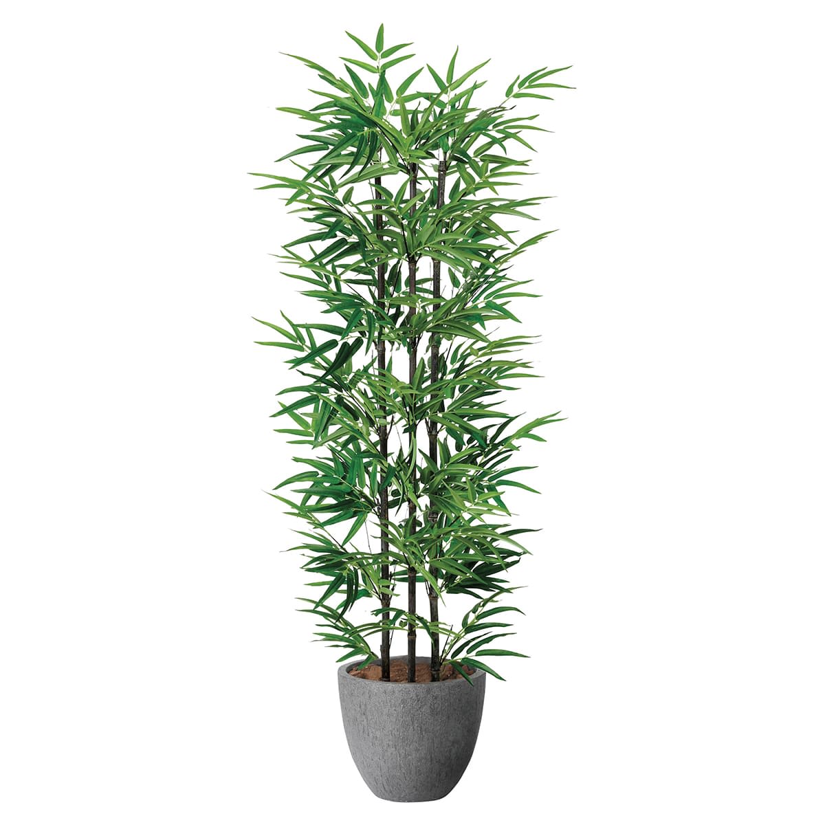 ナチュラル黒竹1.6 2504R430-画像1